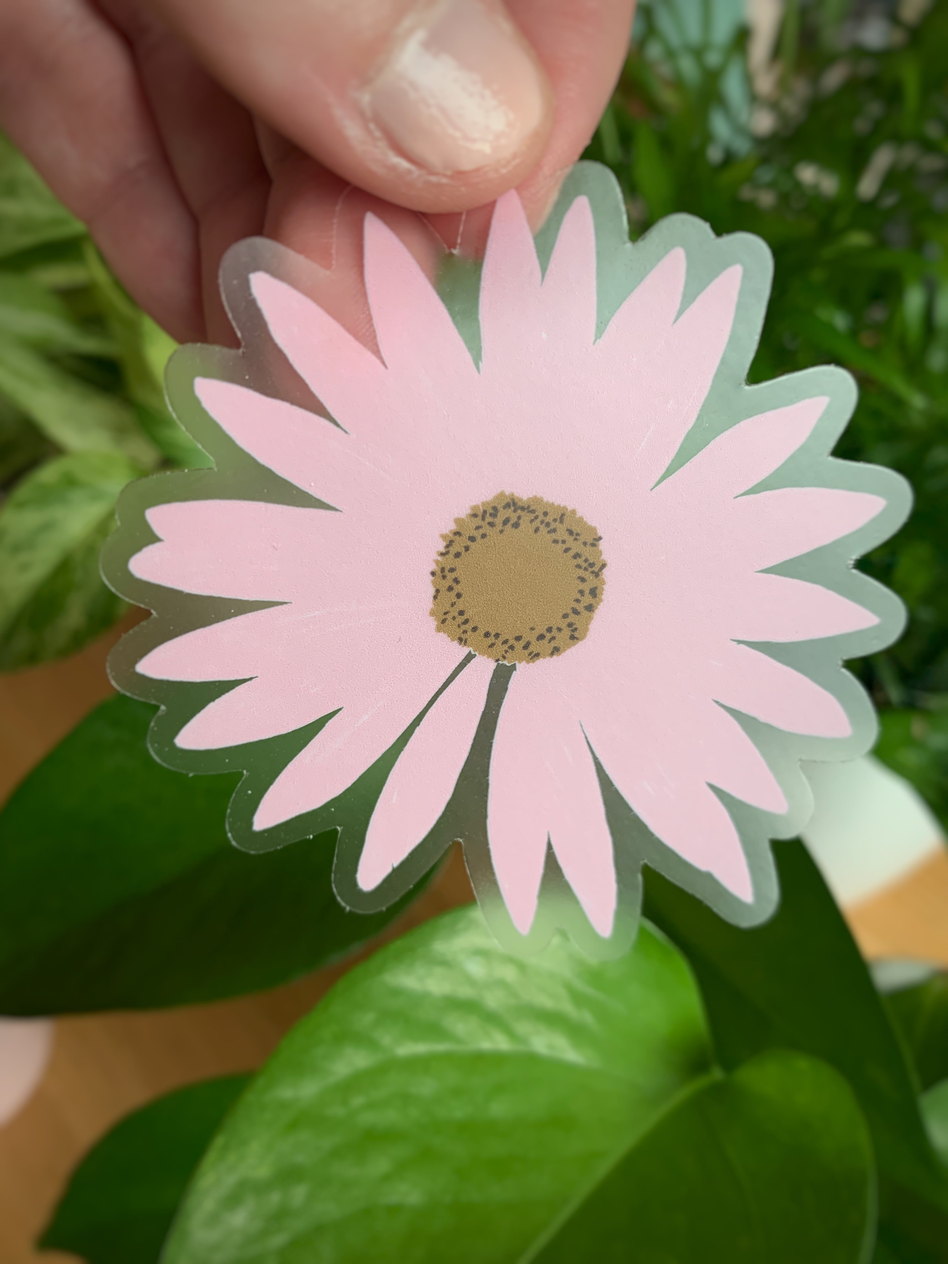 Pink Daisy Sticker Pink Daisy | Sticker – WavelyWade